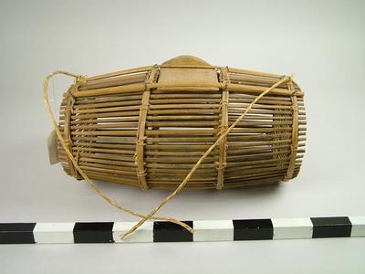 Fish Trap