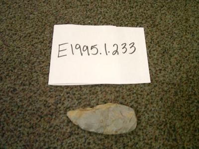 Projectile Point