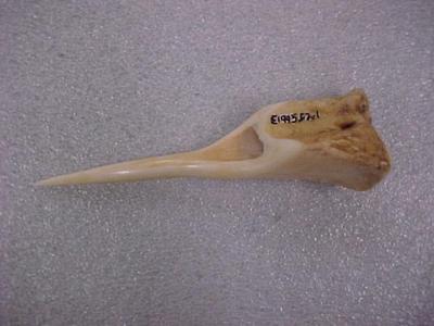 Bone Awl, Reproduction