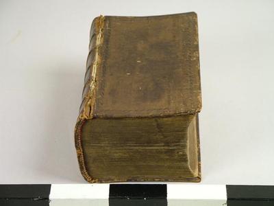 Bible, Old And New Testaments