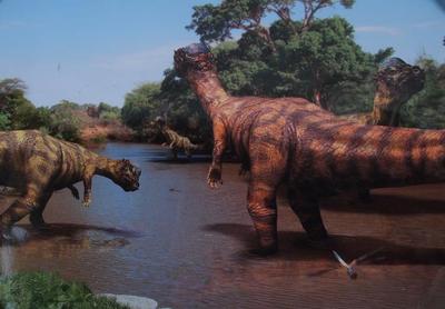 Poster, Pachycephalosaurus Dinosaur