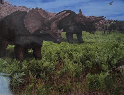 Poster, Triceratops Dinosaur