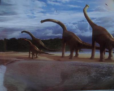 Poster, Brachiosaurus Dinosaur