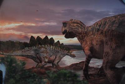 Poster, Stegosaurus