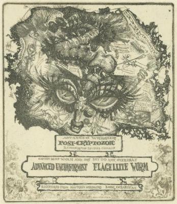 Print, 'Fossil Studies: II, Invertebrate - State I' (1 Of 3)