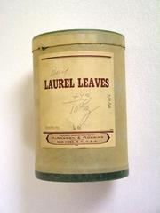 Container, Laurel Leaves