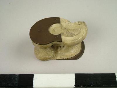 Shaving Tool