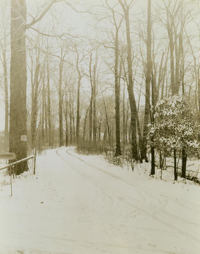 Photograph, No Admittance Driveway