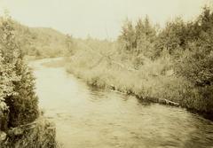 Photograph, River In Woods