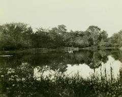 Photograph, Pond