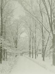 Photograph,snowed Walkway