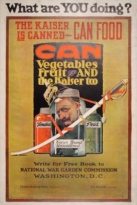 Poster, Can Vegetables, Fruit And The Kaiser Too