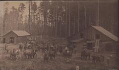 Photograph, Lumber Camp and Stables