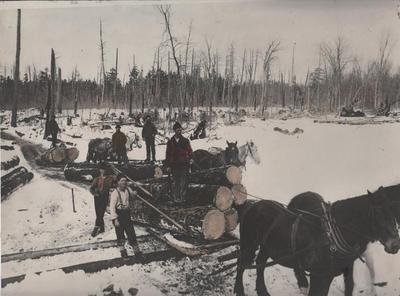 Photograph, Horse Drawn Logging Sled