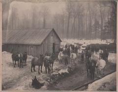 Photograph, Stables at Logging Camp