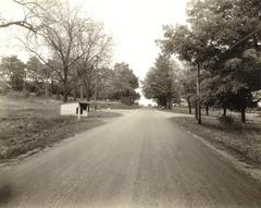 Photograph, Peaches Stand