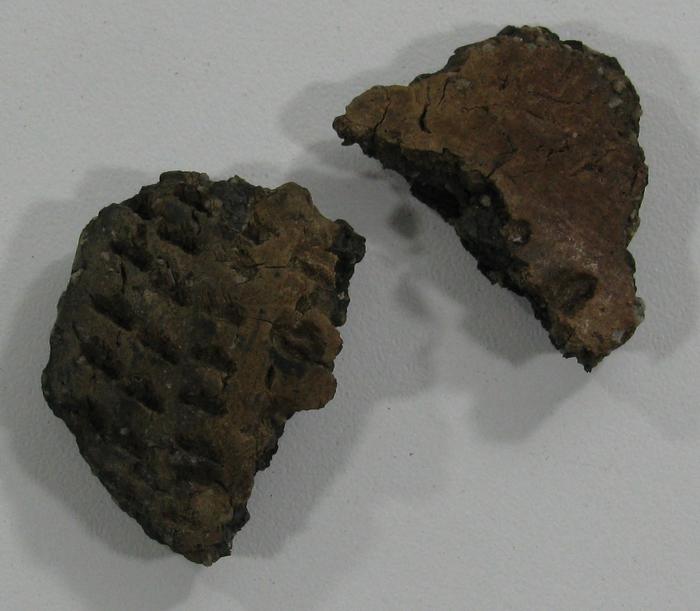 Pot Sherds (4)