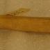 Deer Bone