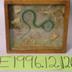 Snake, Green, School Loan Collection