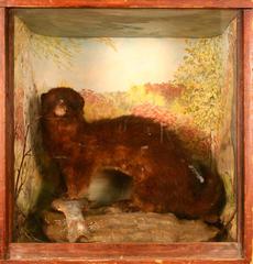 Mink, School Loan Collection