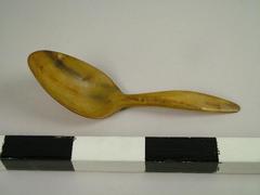 Spoon, Horn