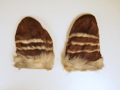 Mittens, Child's (pr.)