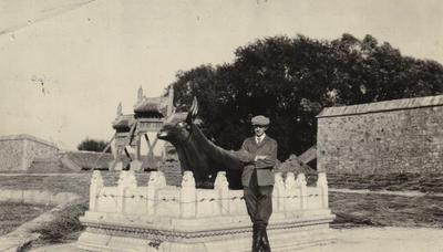 Photograph, Bronze Bull Statue, Beijing