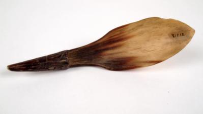 Spoon