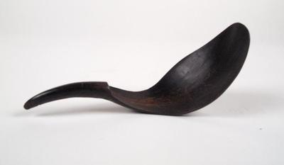 Spoon