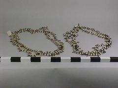 Beads (2)