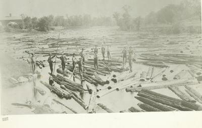 Photograph, Log Drive On The Muskegon River