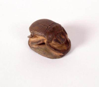 Scarab Cast