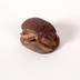 Scarab Cast