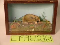 Mole, Prairie, School Loan Collection