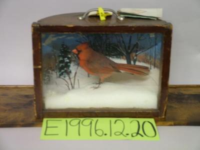 Cardinal, School Loan Collection