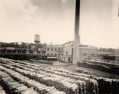 Photograph, Excelsior Wrapper Company