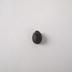 Scarab with Horus and Cartouche, Black Faience