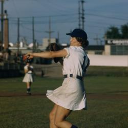Archival Collection #066 - All-American Girls Professional Baseball League