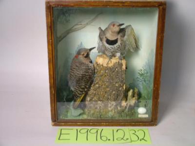 Flicker, School Loan Collection