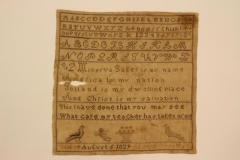 Sampler
