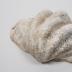 Giant Clam