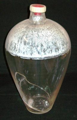 Pitcher And Globe