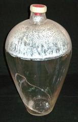 Pitcher And Globe