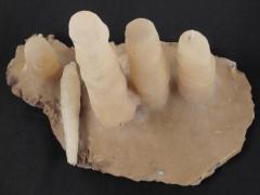 Stalagmites