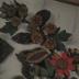 Picture, Seed Wreath
