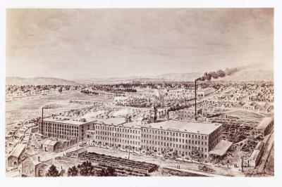 Photograph, Phoenix Furniture Company Factory Drawing