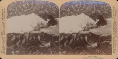 Stereoview, Tired of Play