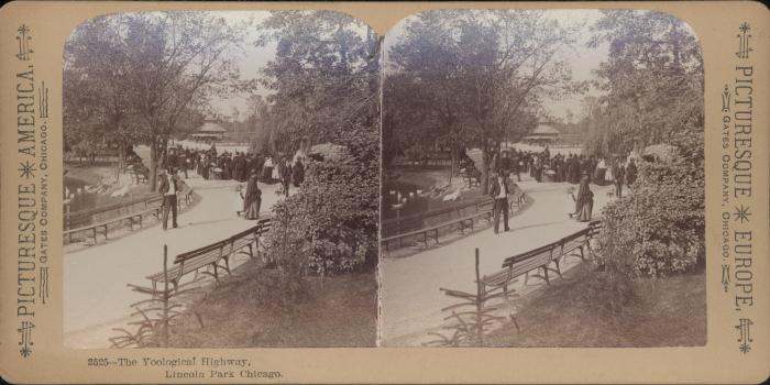 Stereoview, The Yoological Highway in Lincoln Park