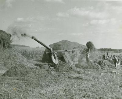 Photograph, Farm work