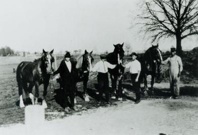 Photograph, Kilmer Brothers on Farm